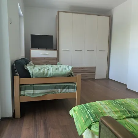 Apartment Savic Banja Vrujci *