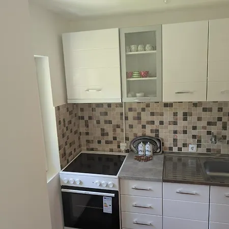 Savic Banja Vrujci Apartment *